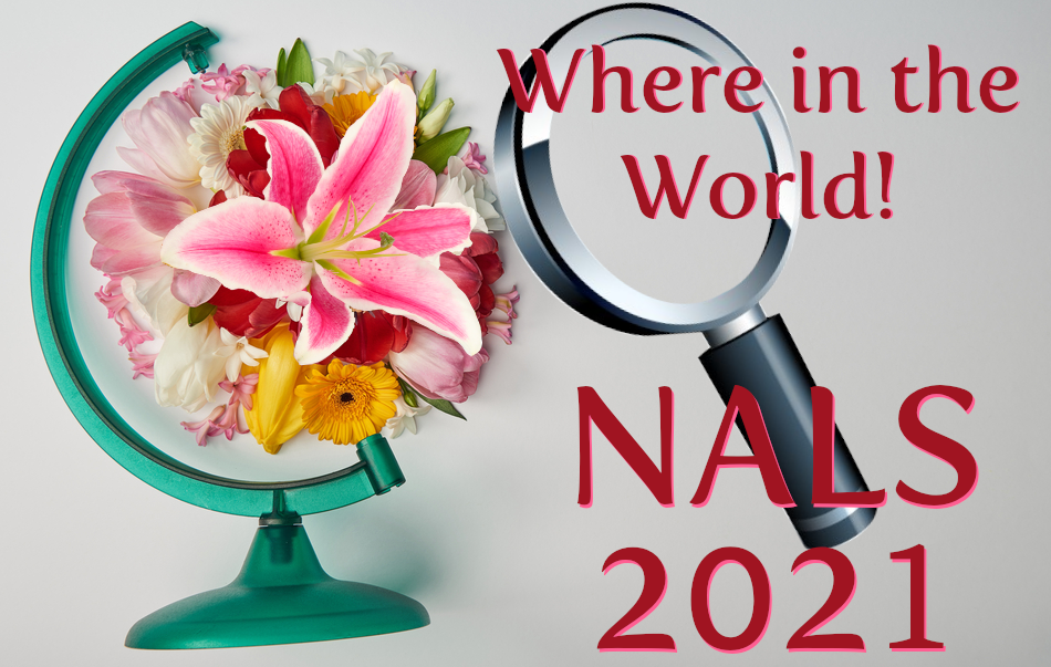 NALS 2021 Virtual Logo